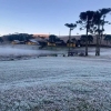 Inverno tem sido rigoroso no RS