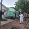 Cerro Largo registra queda nos casos de dengue