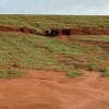 Chuvas atrasam plantio da safra de inverno no RS