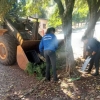 Segue o combate à dengue em Cerro Largo