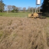 Inicia colheita da canola no Rio Grande do Sul
