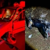 Motociclista fica gravemente ferido na RS 168