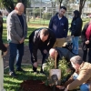 Homenagem a cão comunitário
