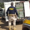 Argentino é preso em veículo carregado de cigarros