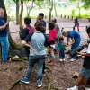 Troca de saberes sobre abelhas nativas sem ferrão